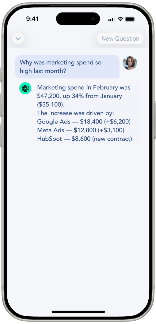 Digits Financials on iPhone
